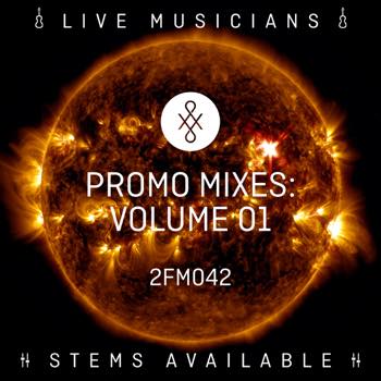 Promo Mixes - Volume 1