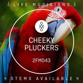 Cheeky Pluckers