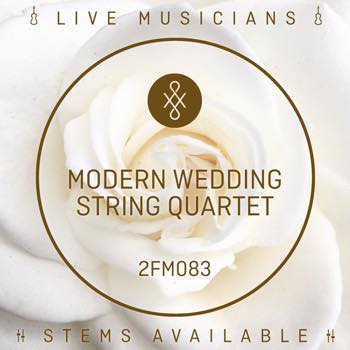 Modern Wedding String Quartet
