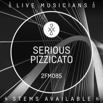 Serious Pizzicato