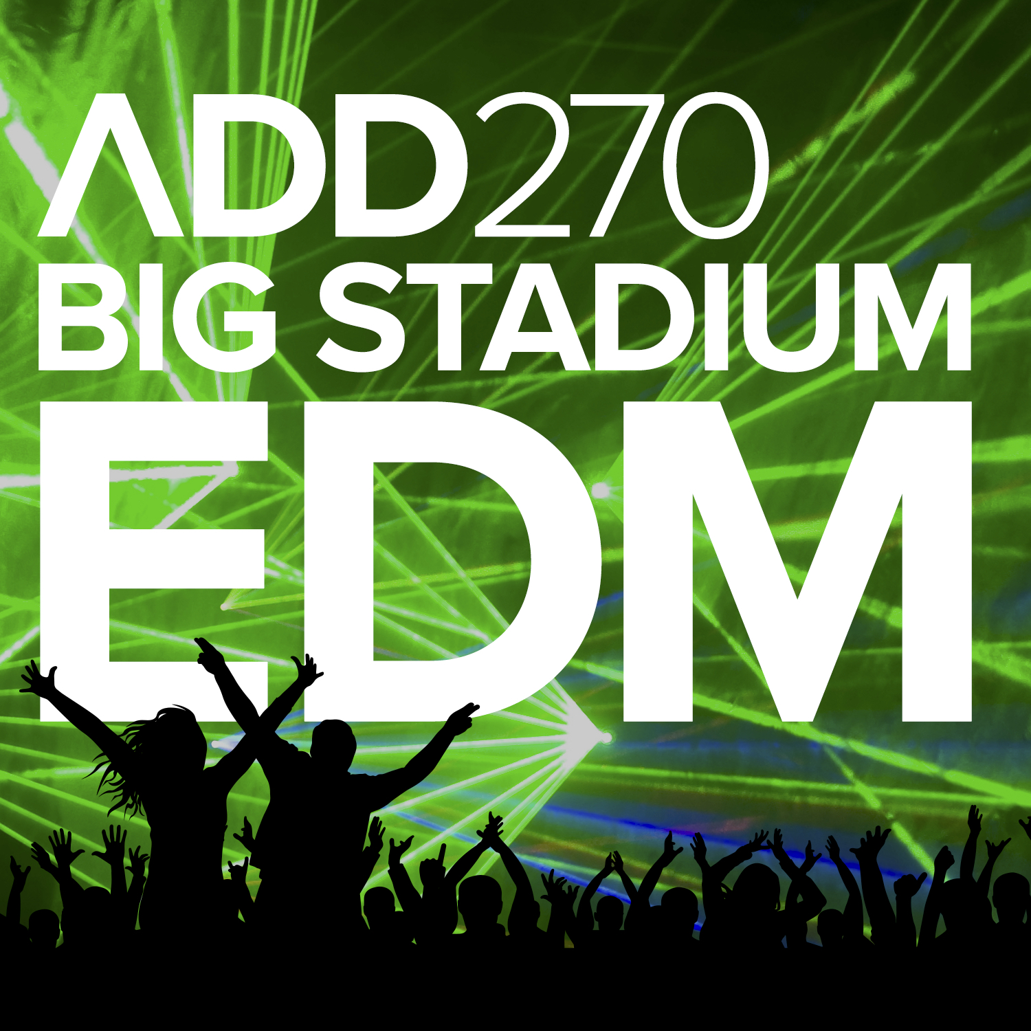 BIG STADIUM EDM