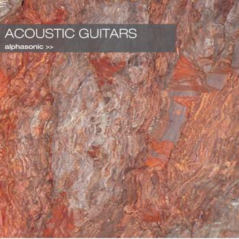 Acoustic Guitars