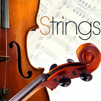 Strings