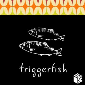 Triggerfish