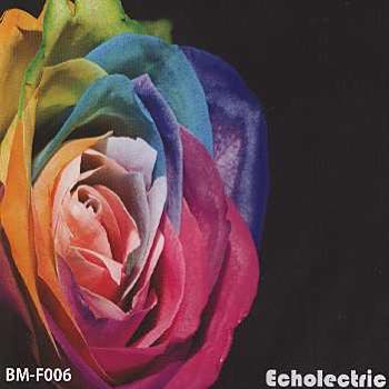 Echolectric