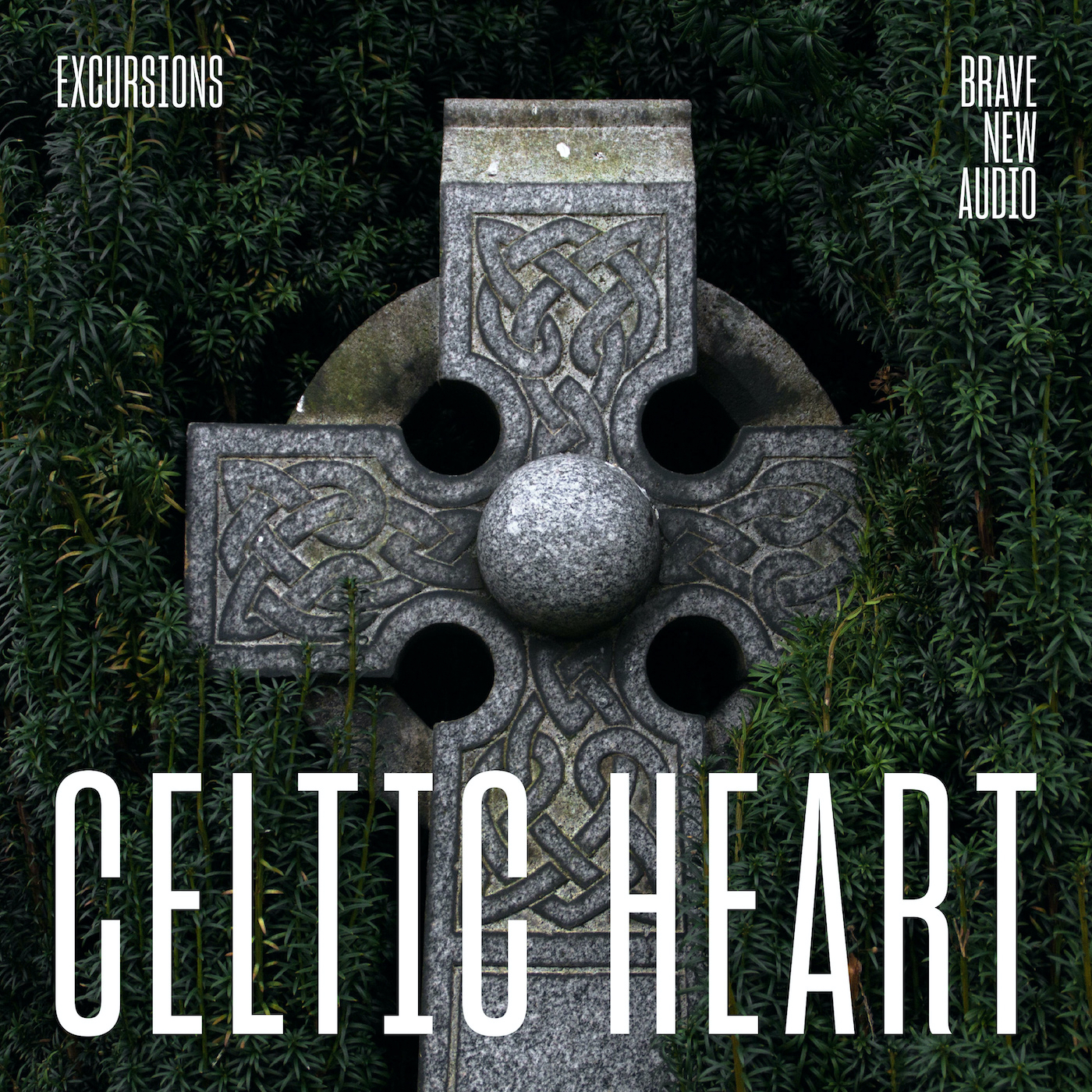 Excursions: Celtic Heart