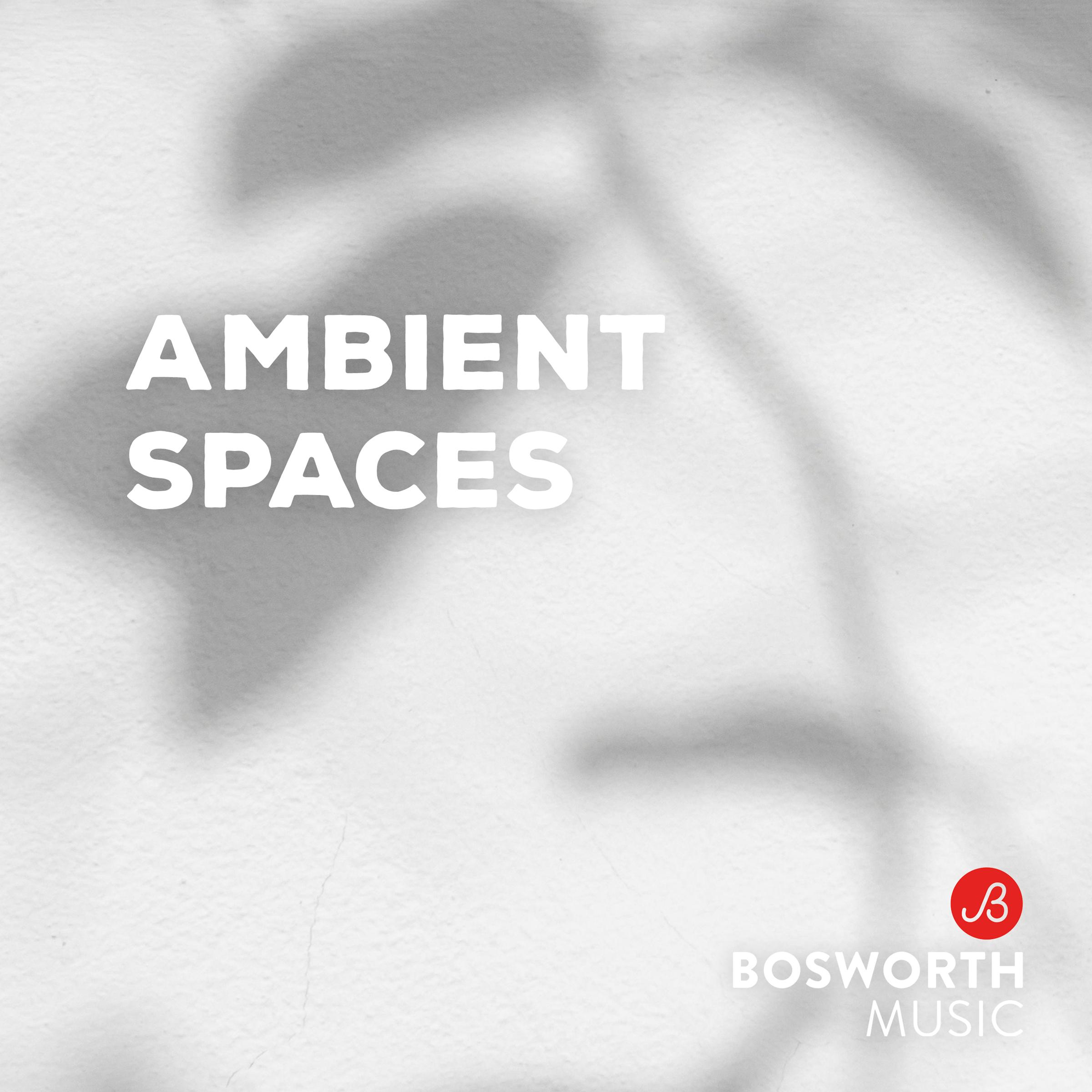 Ambient Spaces
