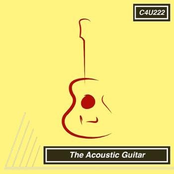 The Acoustic Guitar