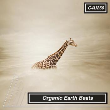 Organic Earth Beats