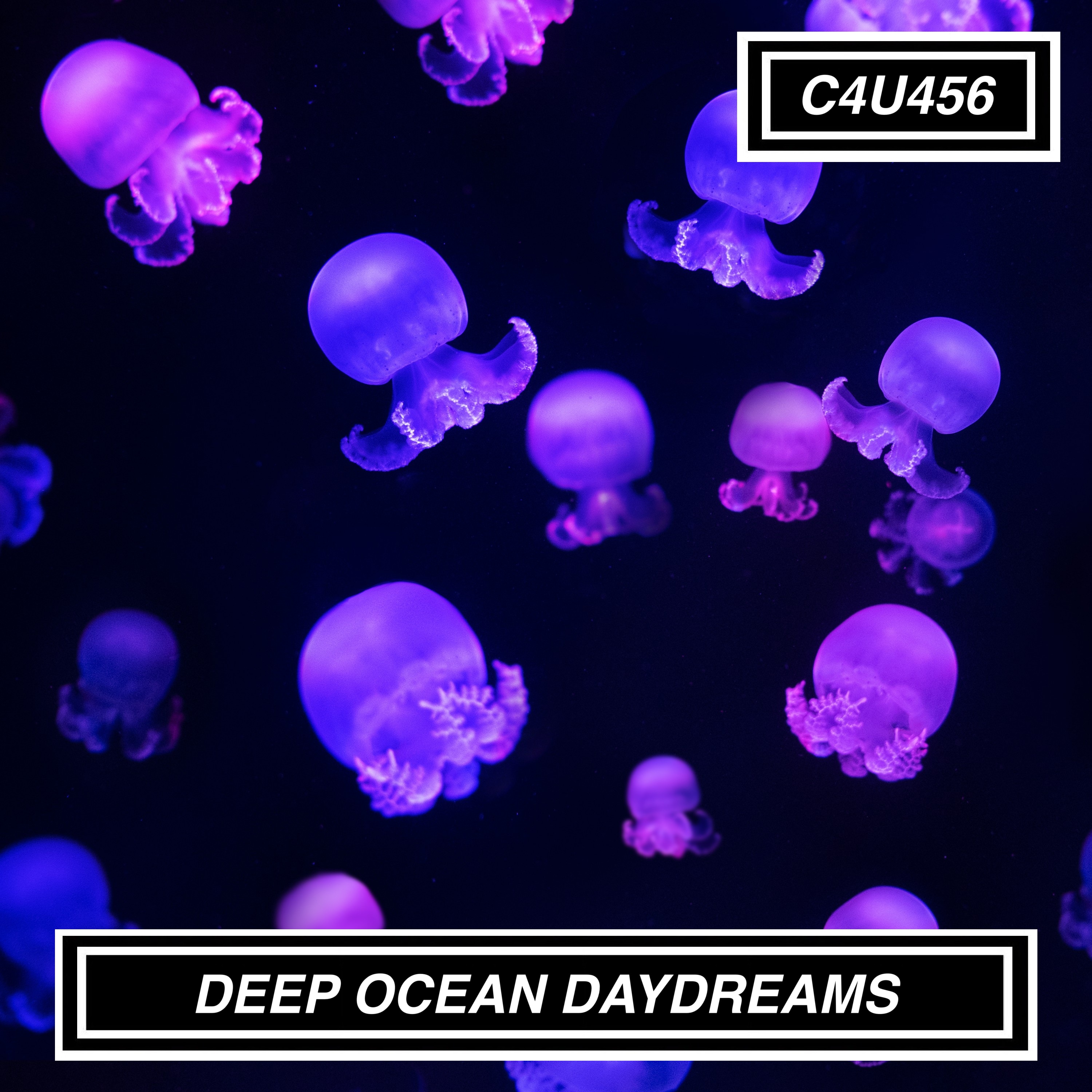 DEEP OCEAN DAYDREAMS