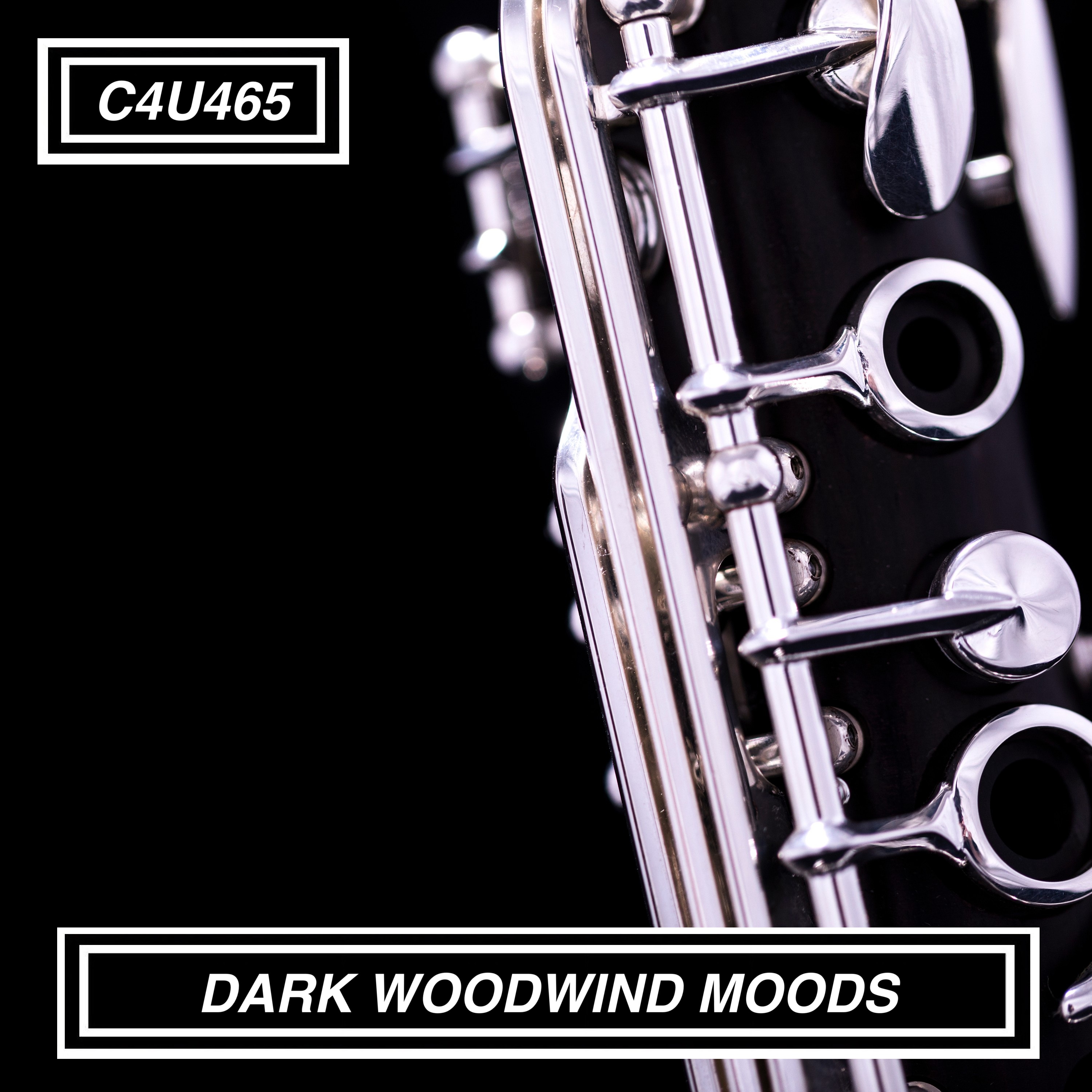 DARK WOODWIND MOODS