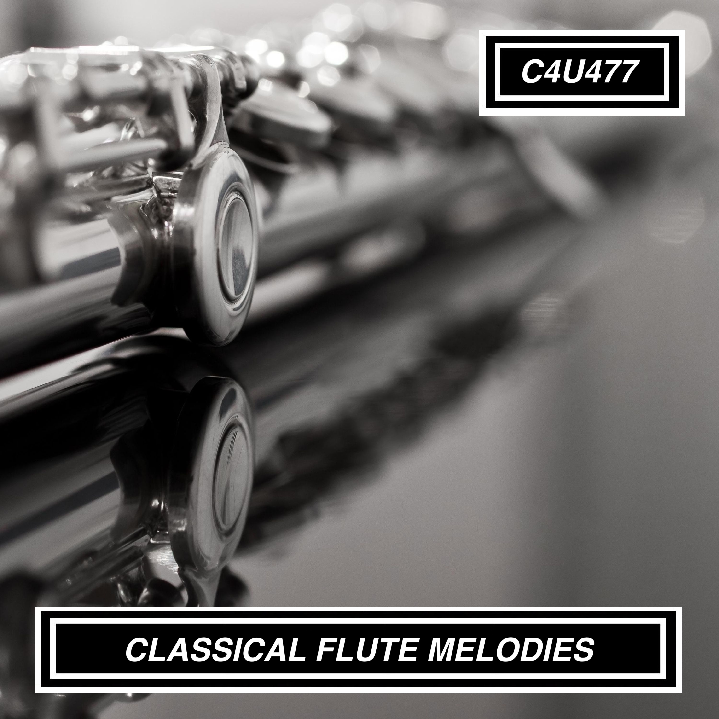CLASSICAL FLUTE MELODIES