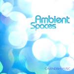 AMBIENT SPACES