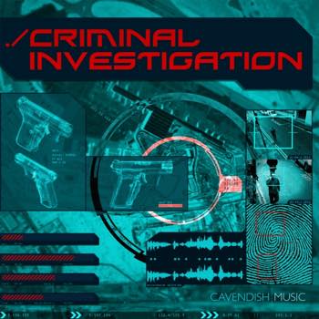 Criminal Investigation