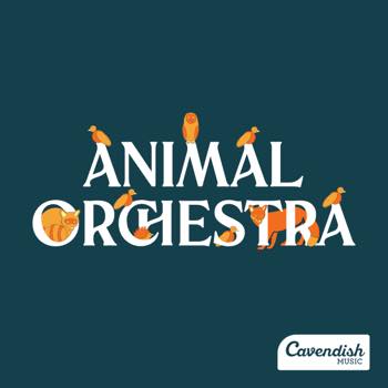 Animal Orchestra