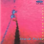 Steve Pulse Undergroove