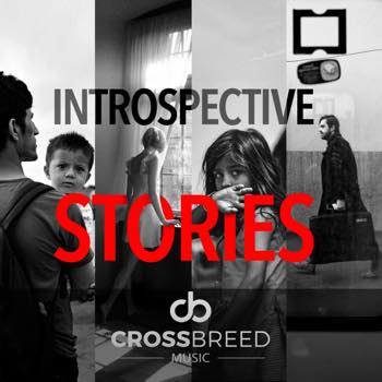 Introspective Stories