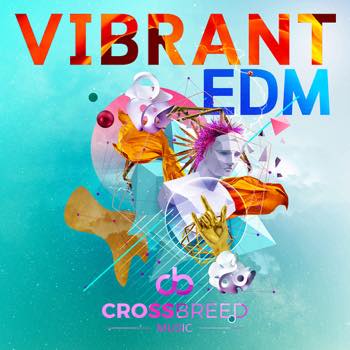 Vibrant EDM