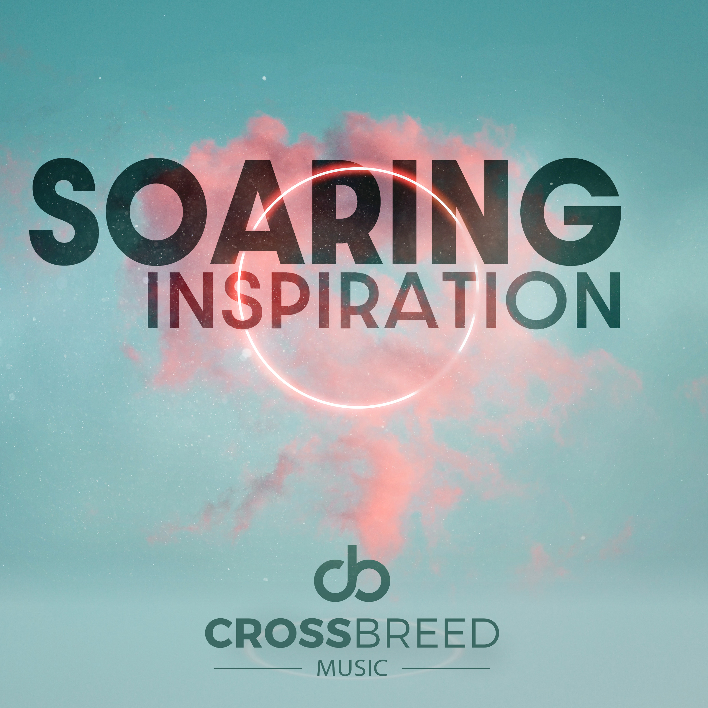 Soaring Inspiration
