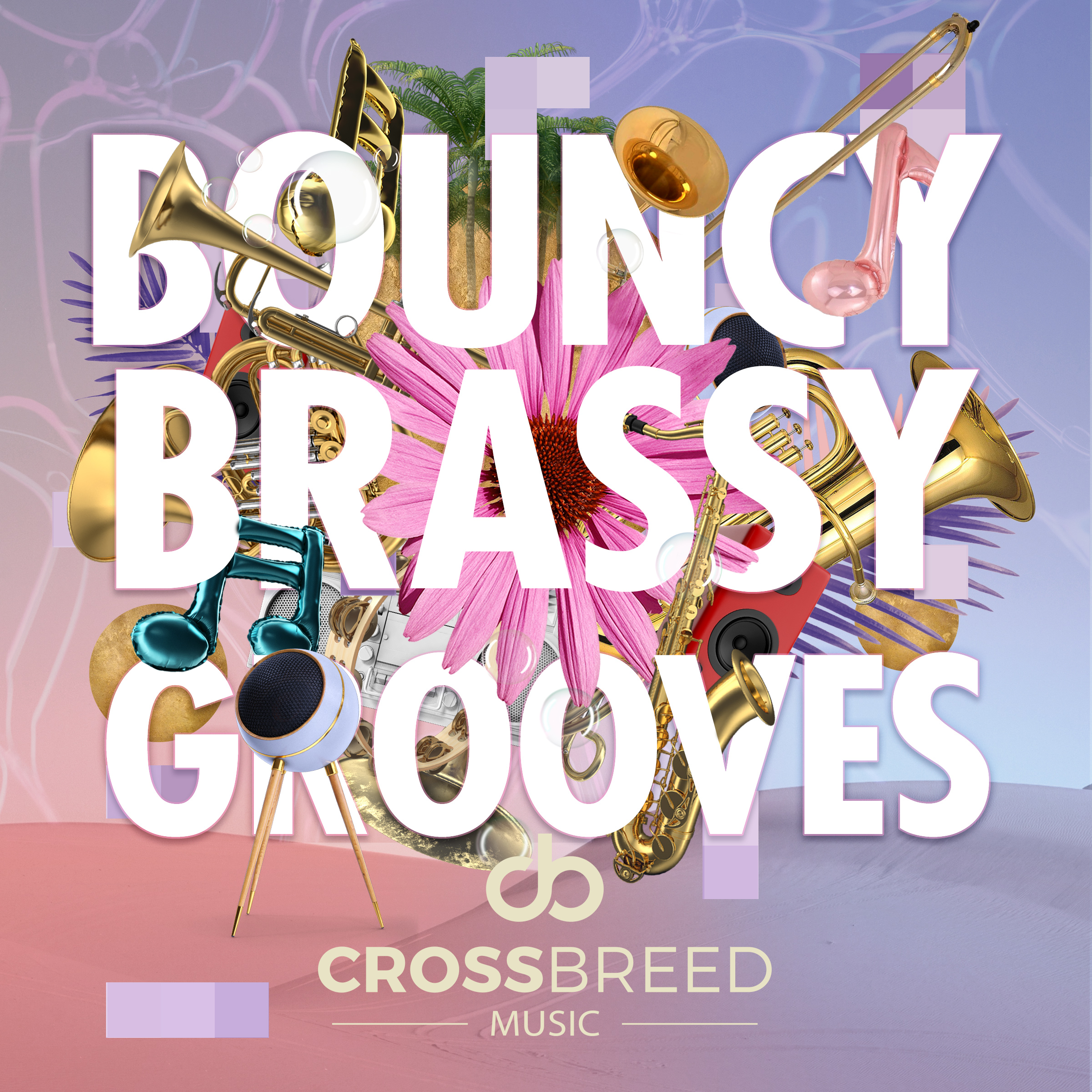 Bouncy Brassy Grooves