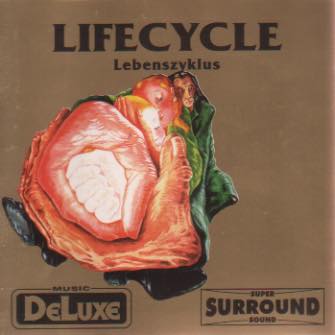 Journey Around The World