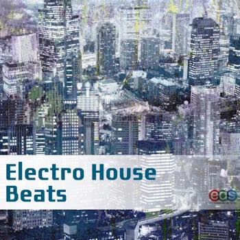 Electro House Beats