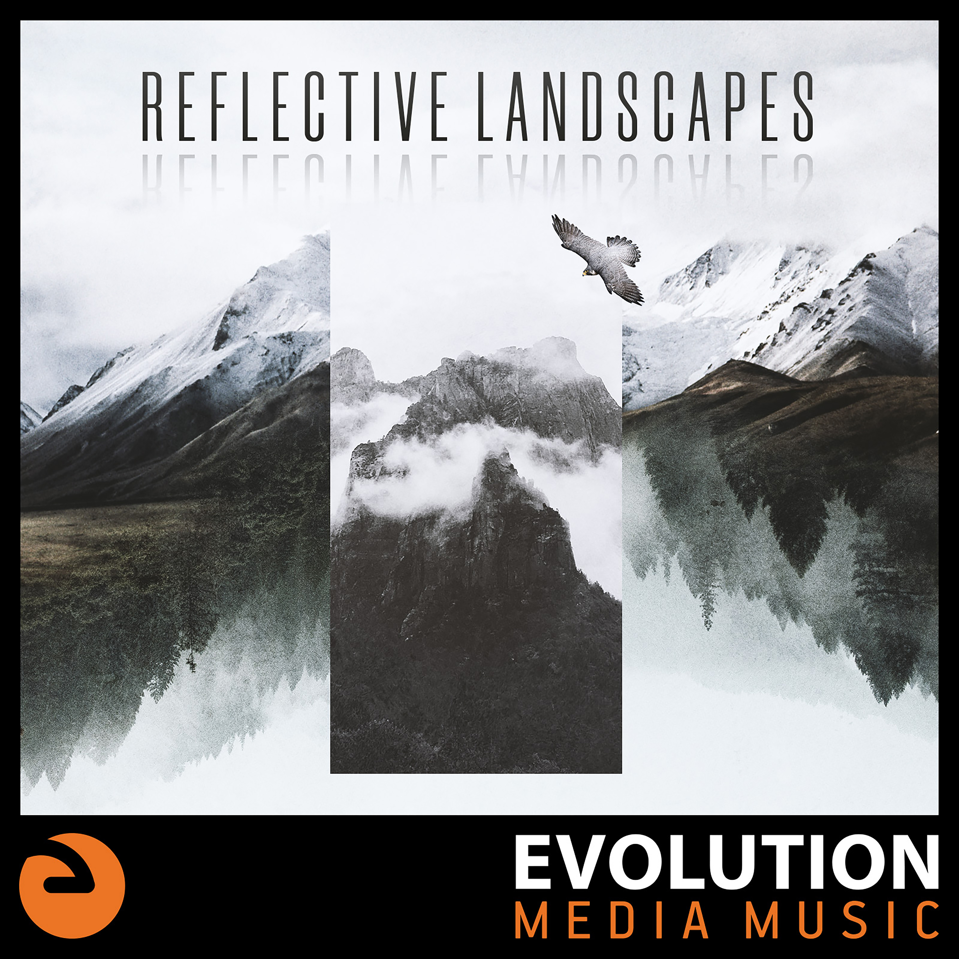 Reflective Landscapes