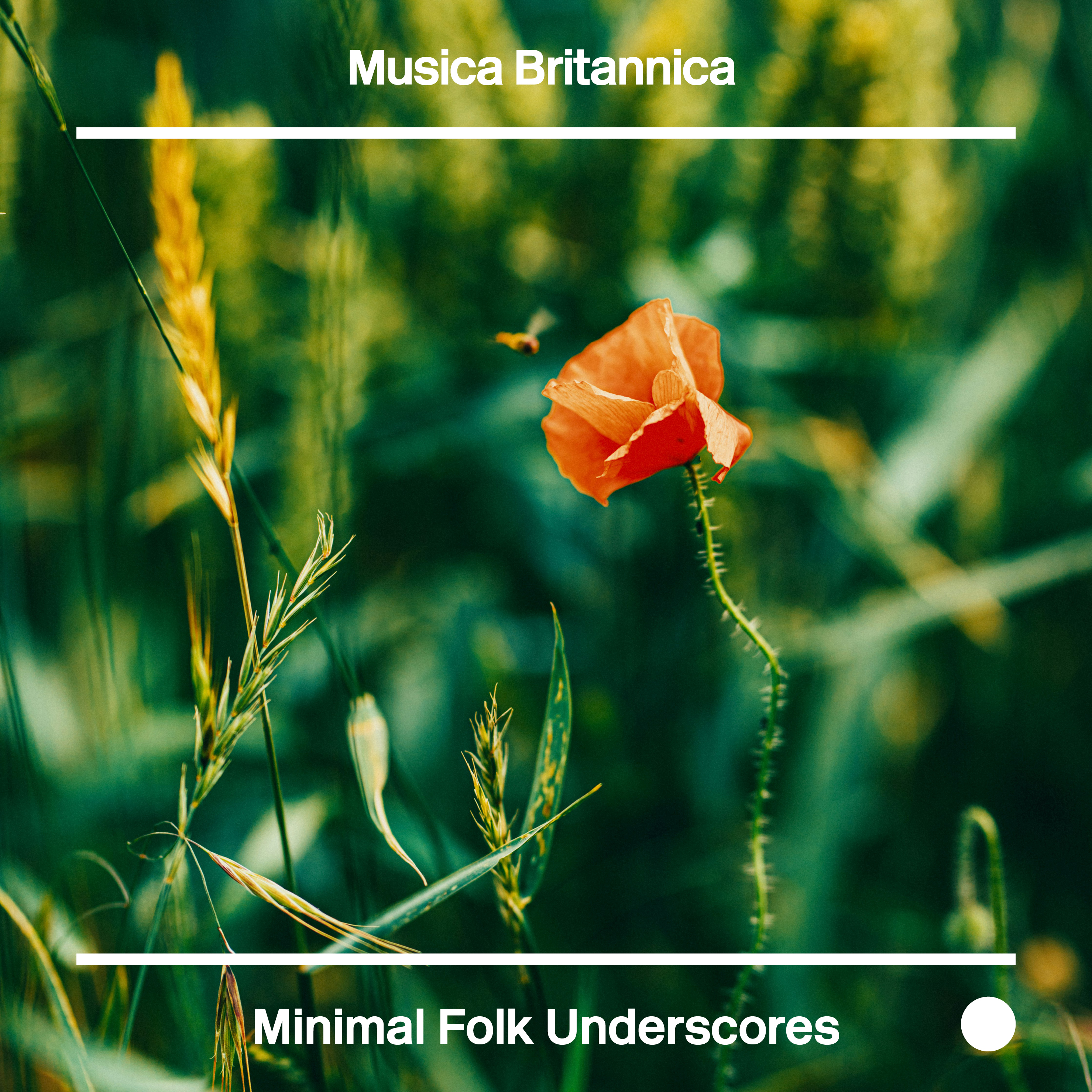 Minimal Folk Underscores