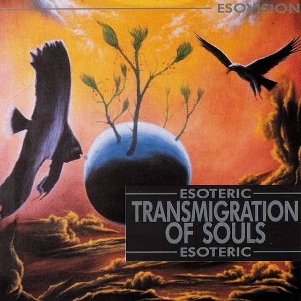Transmigration Of Souls