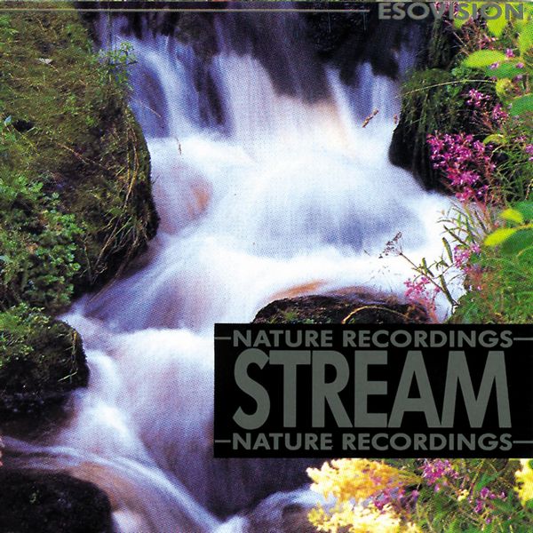 Stream