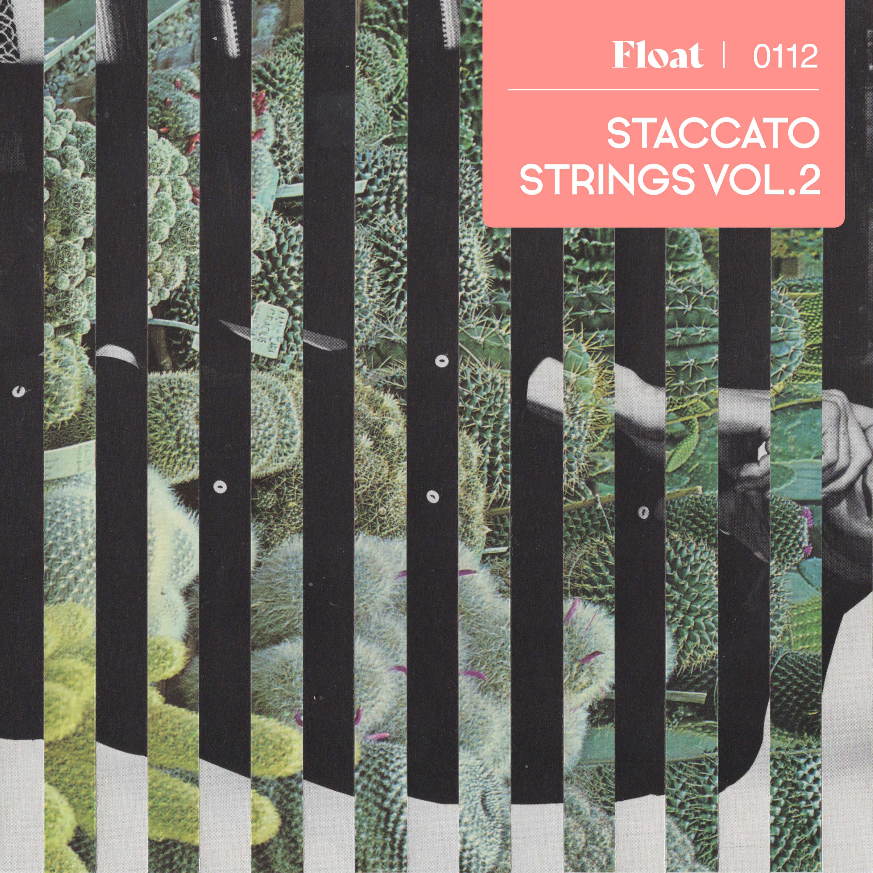Staccato Strings Vol.2