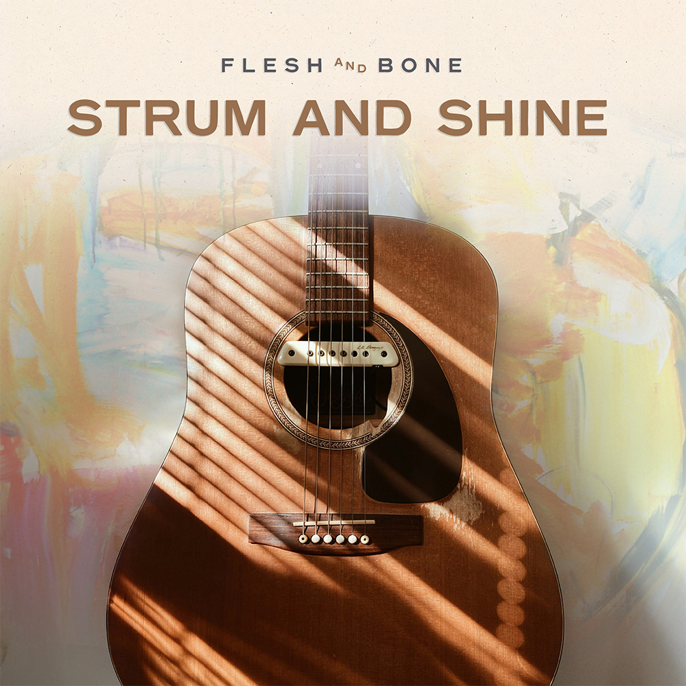 Strum And Shine