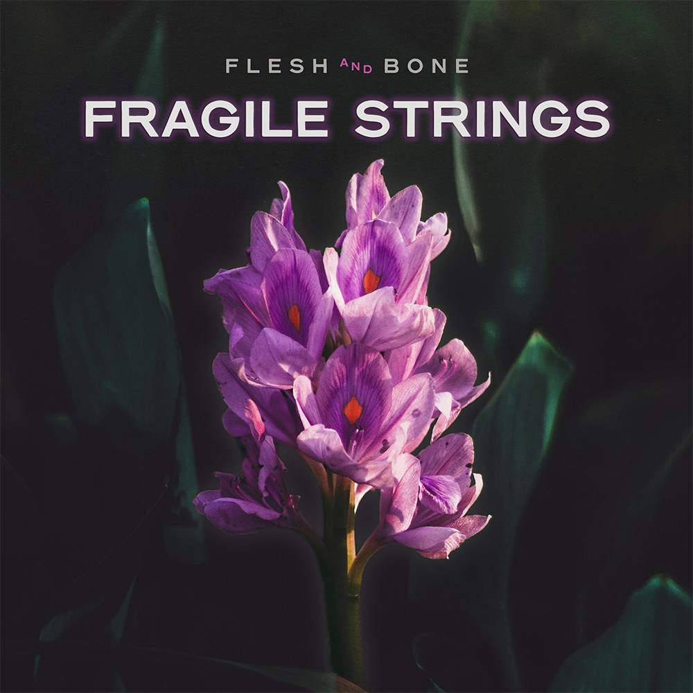 Fragile Strings