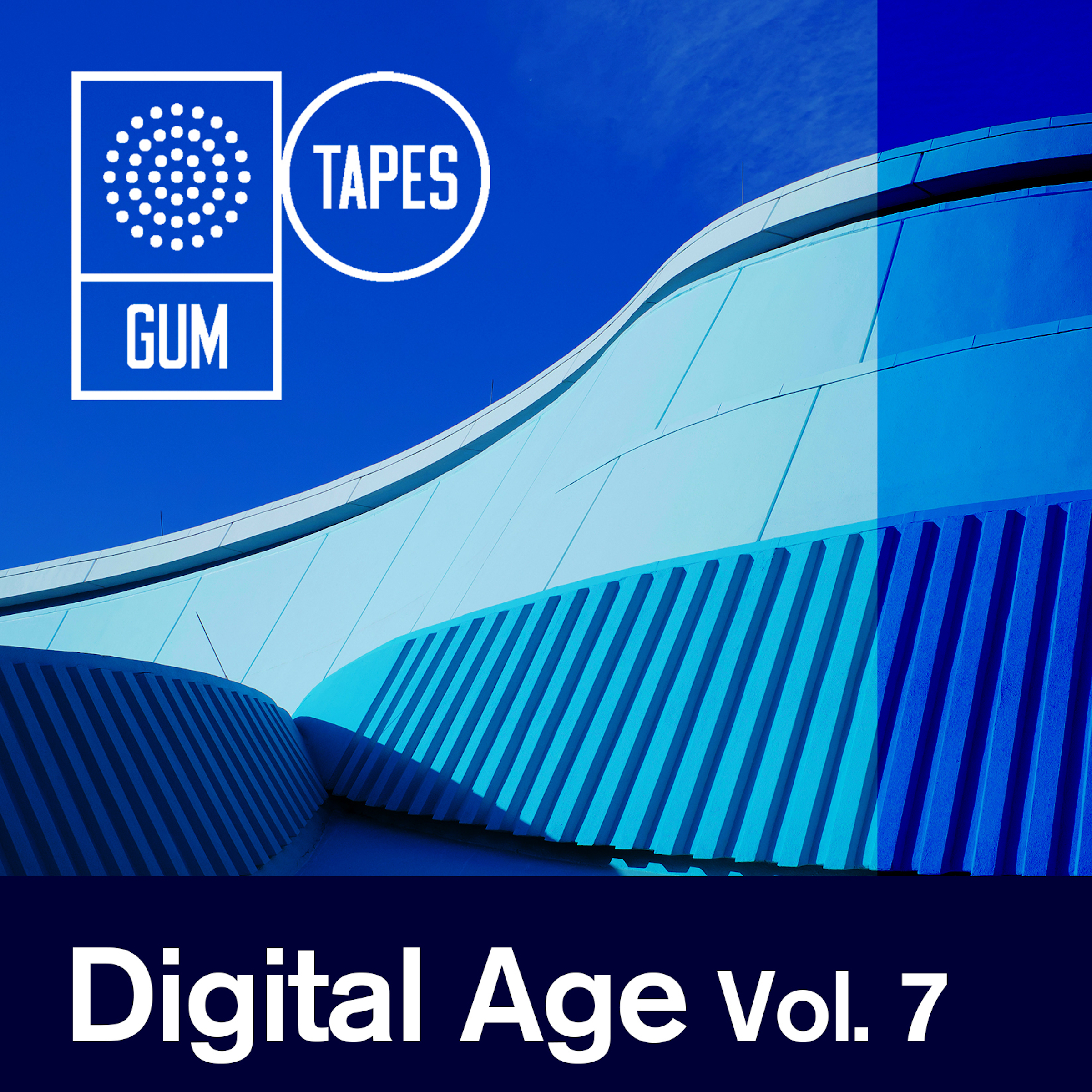 Digital Age Vol.7