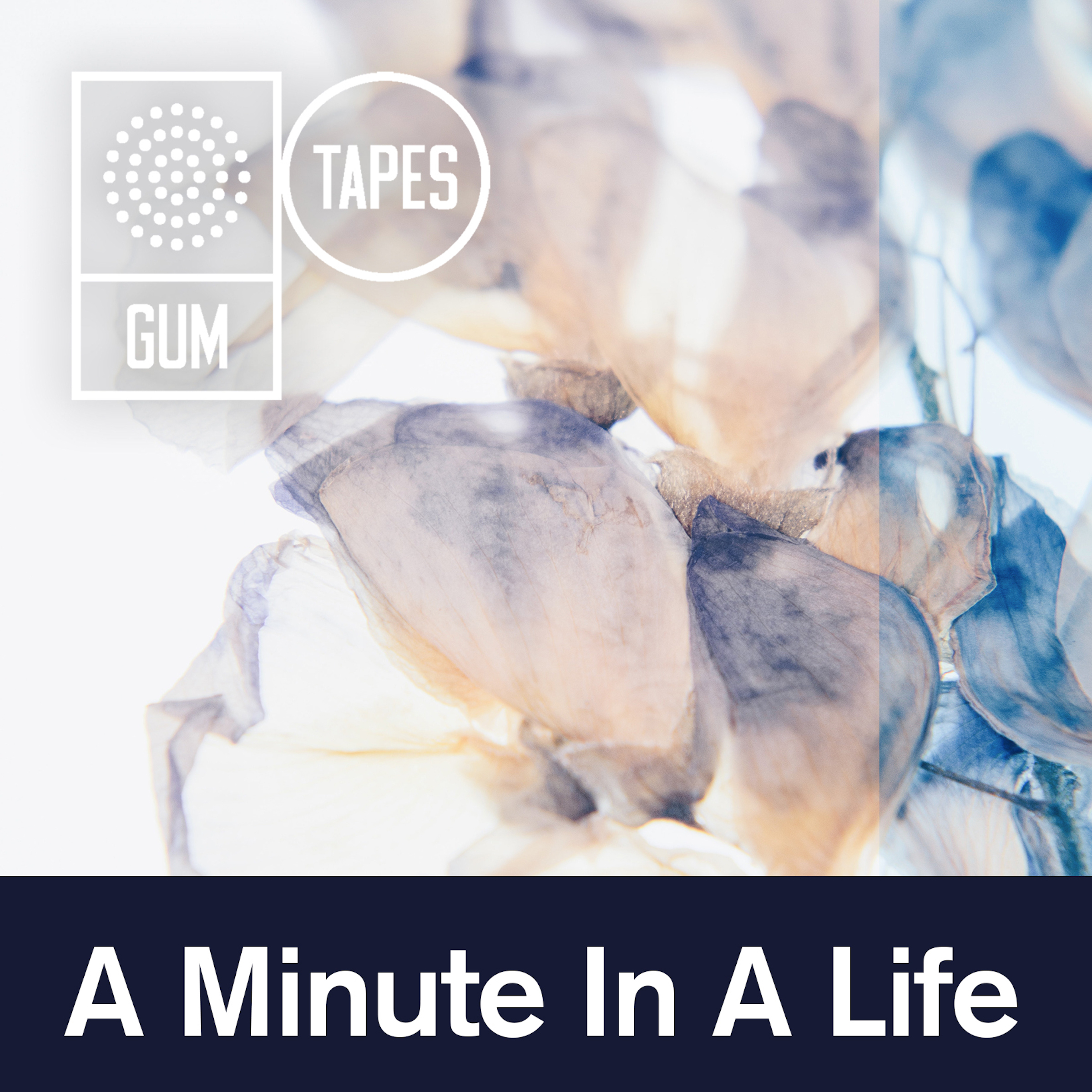 A Minute In A Life