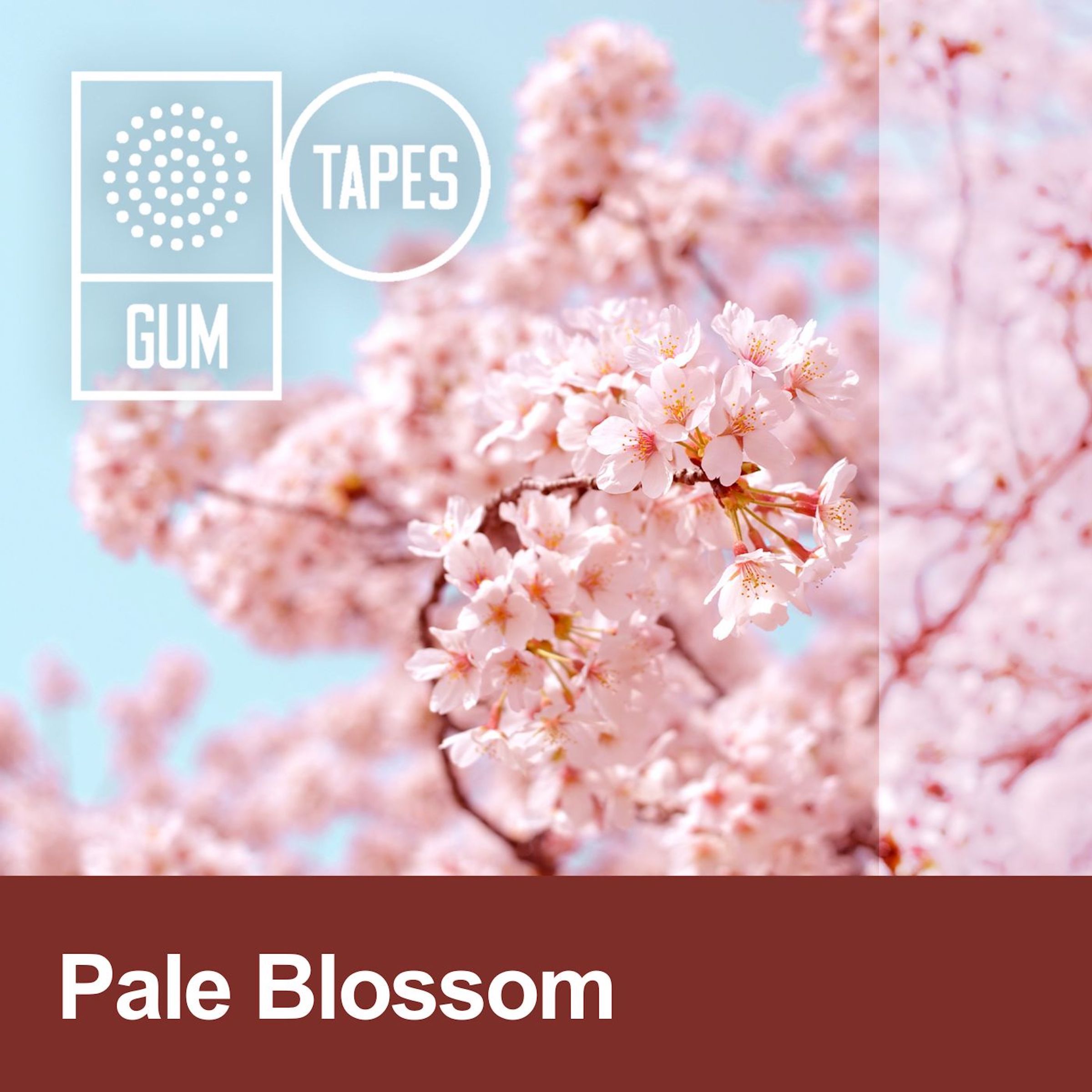 Pale Blossom