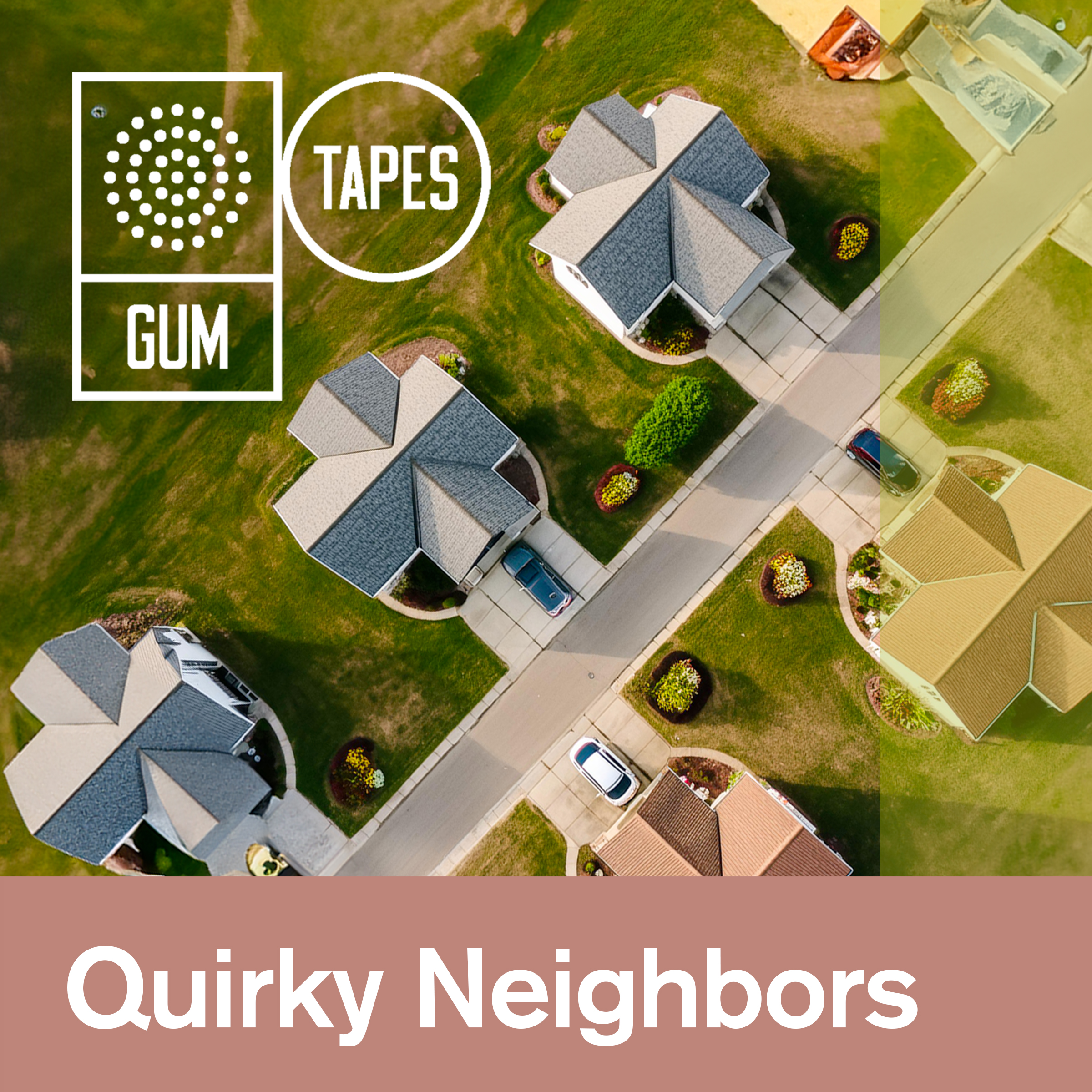 Quirky Neighbors