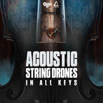 Acoustic String Drones (Assembly Line Compatible) - In All Keys