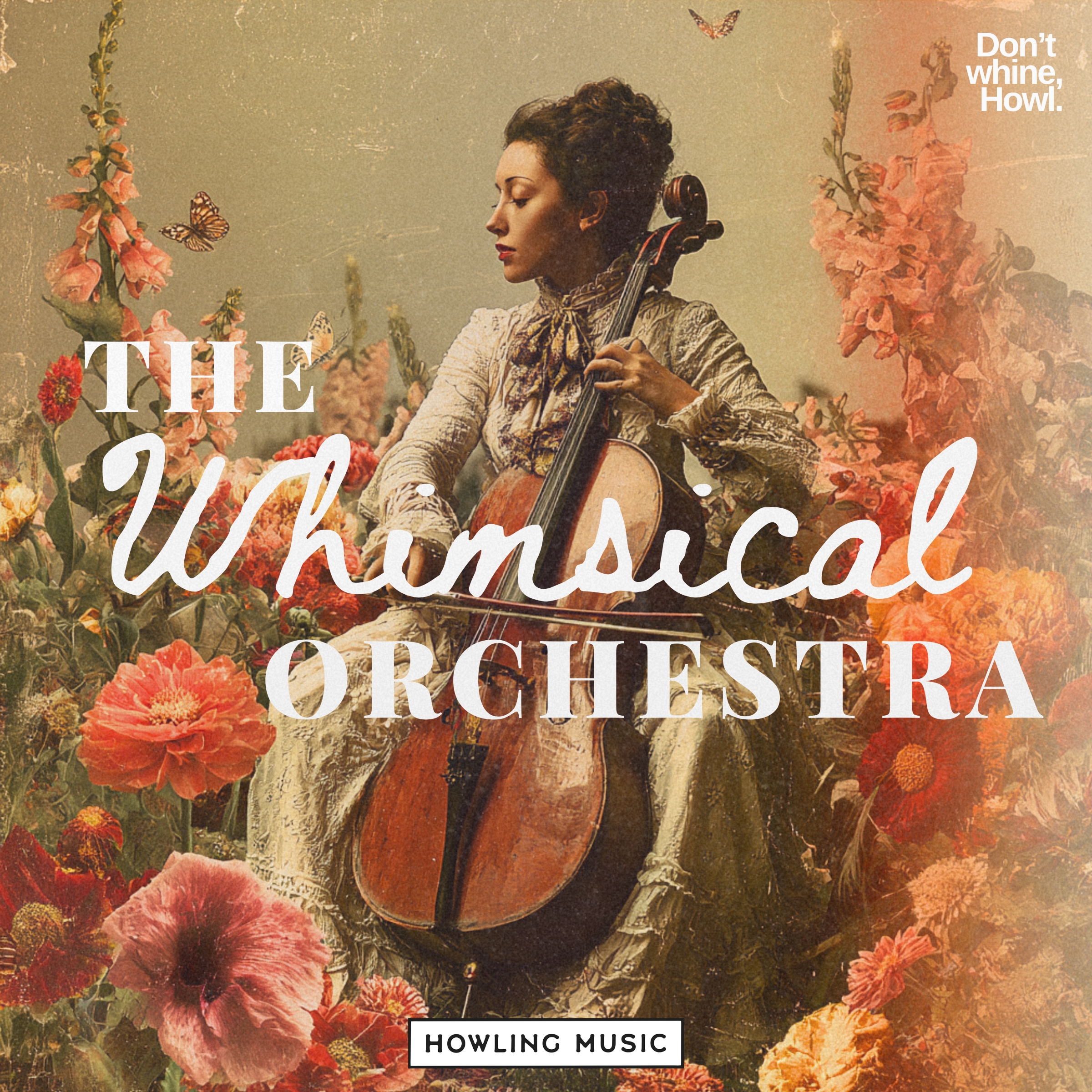 The Whimsical Orchestra