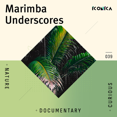 Marimba Underscores: Nature Documentary Curious