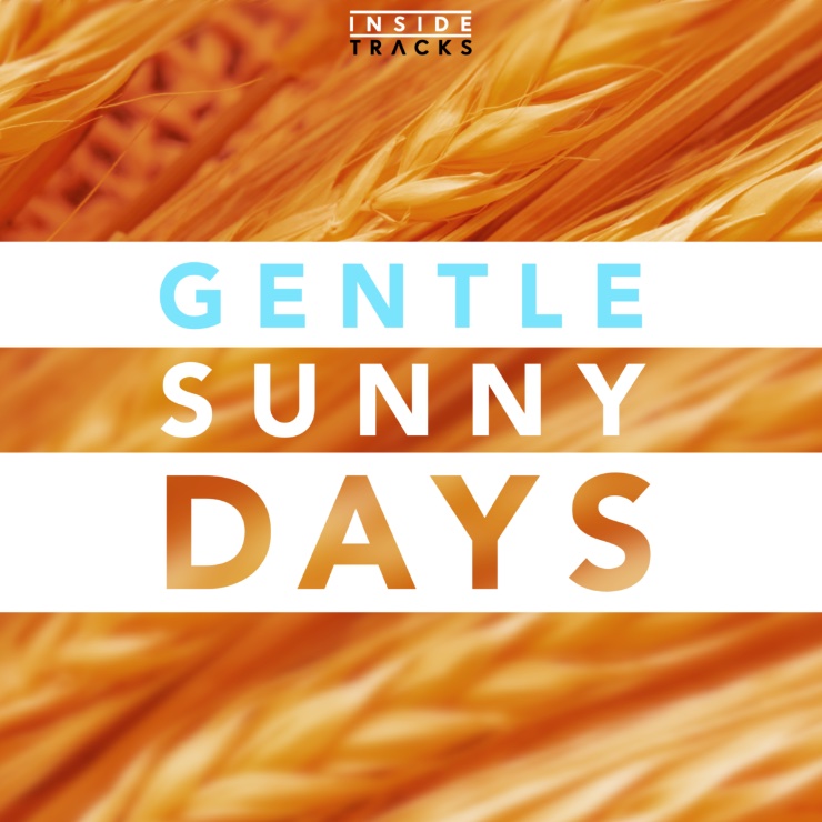 Gentle Sunny Days