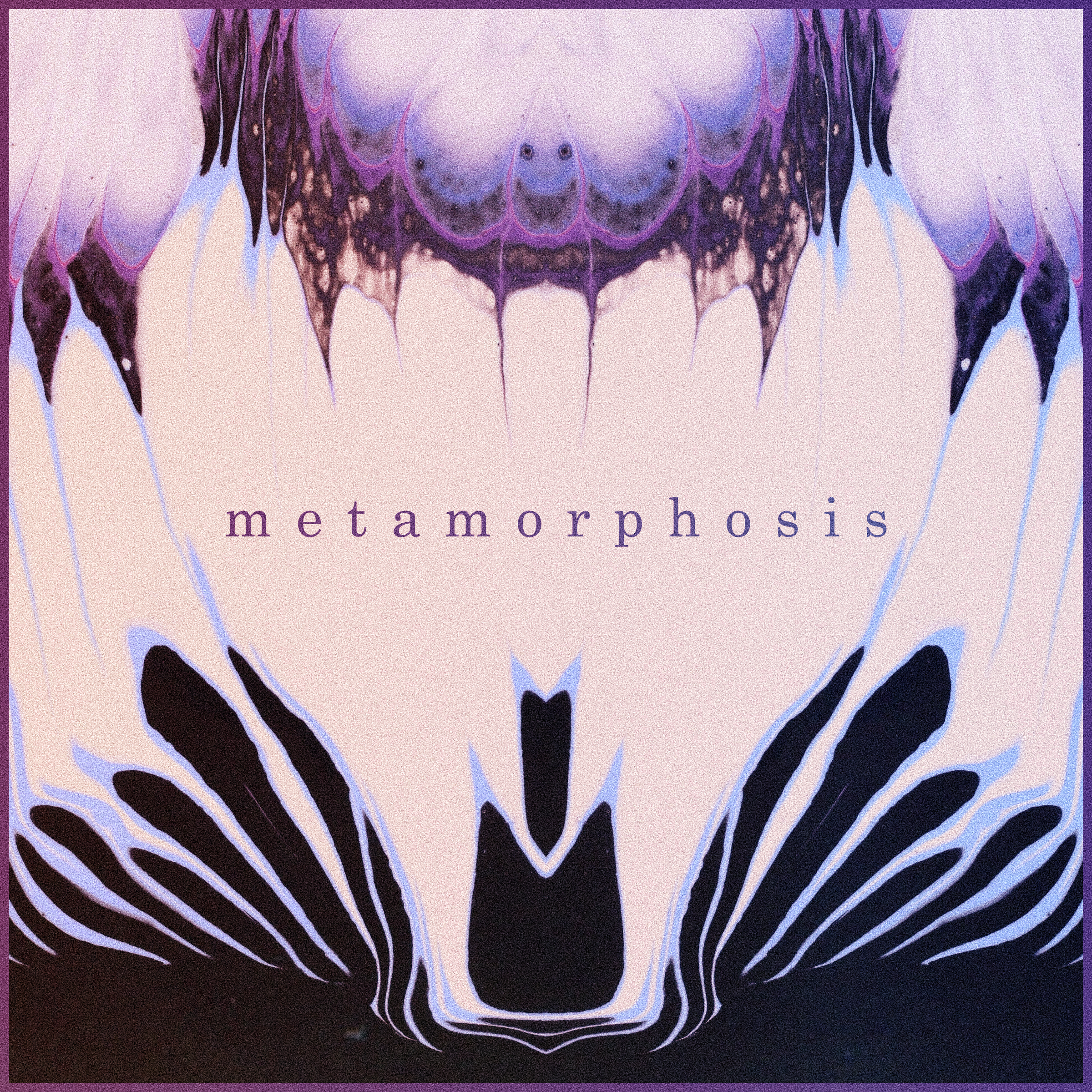 METAMORPHOSIS : Evolving Ambient Rock
