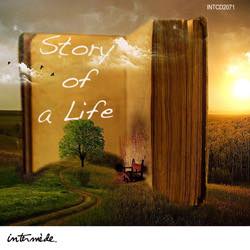 Story Of A LIfe
