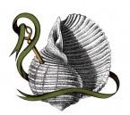 Organic Beds & Drones