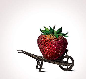 Growing Gardens Metadata