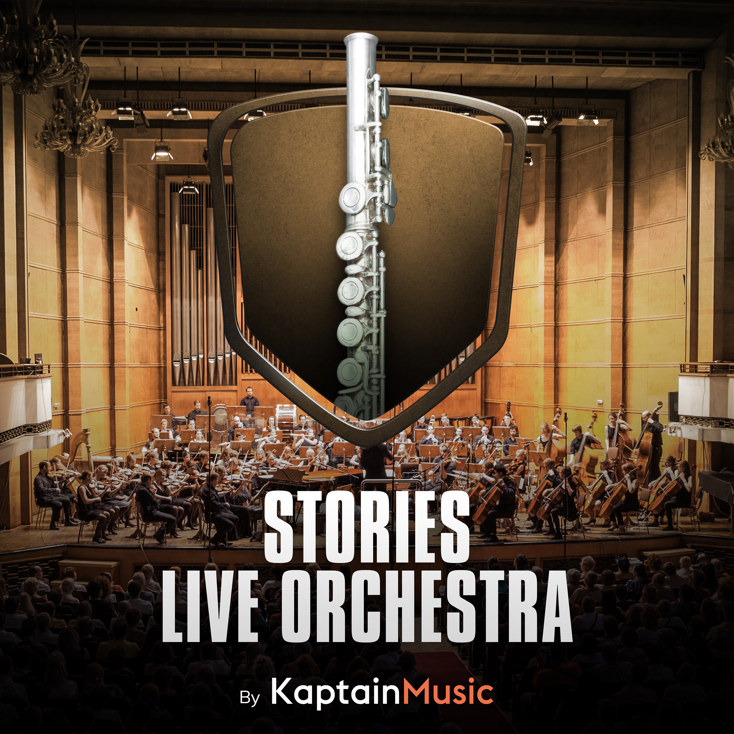 Stories Live Orchestra