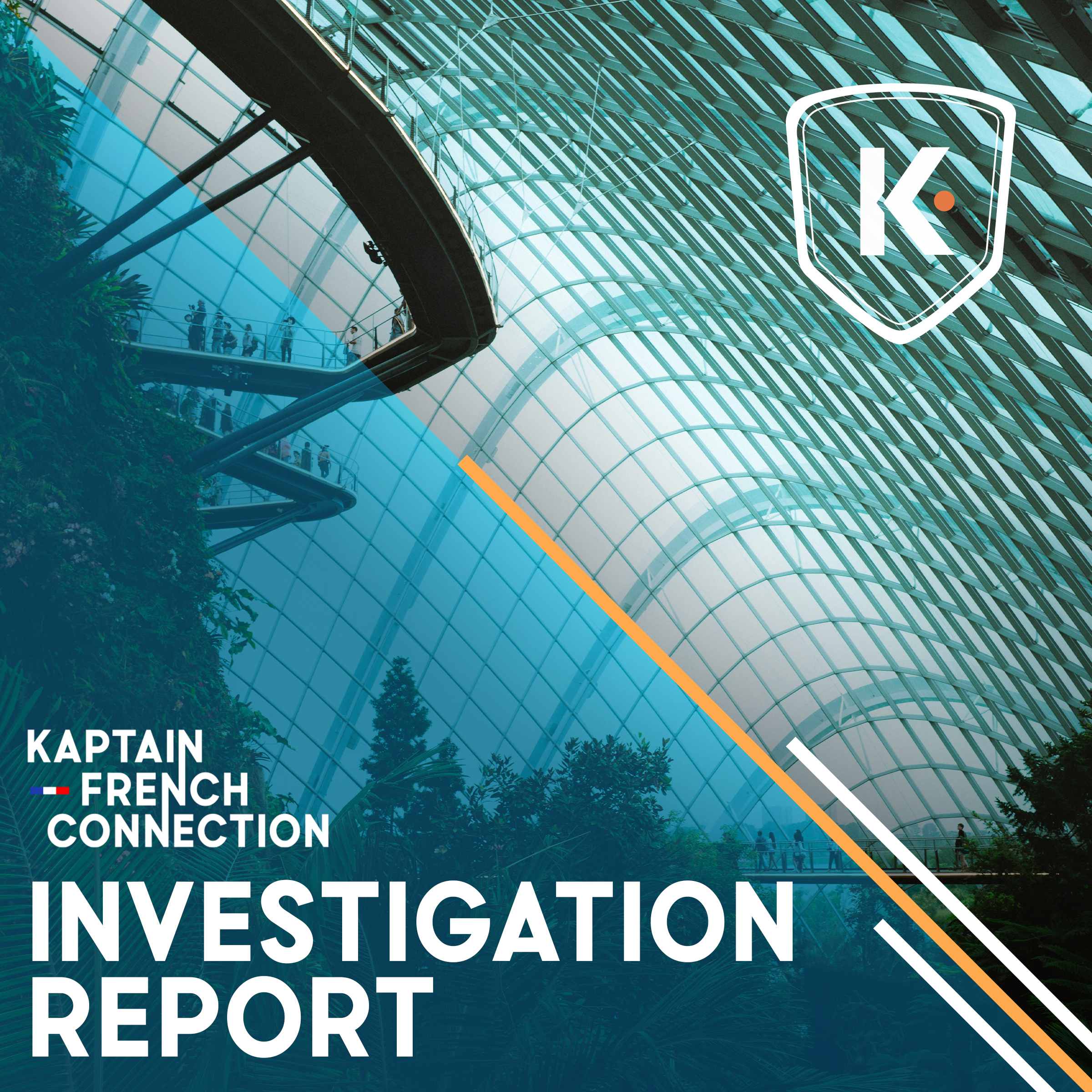 Investigation Report