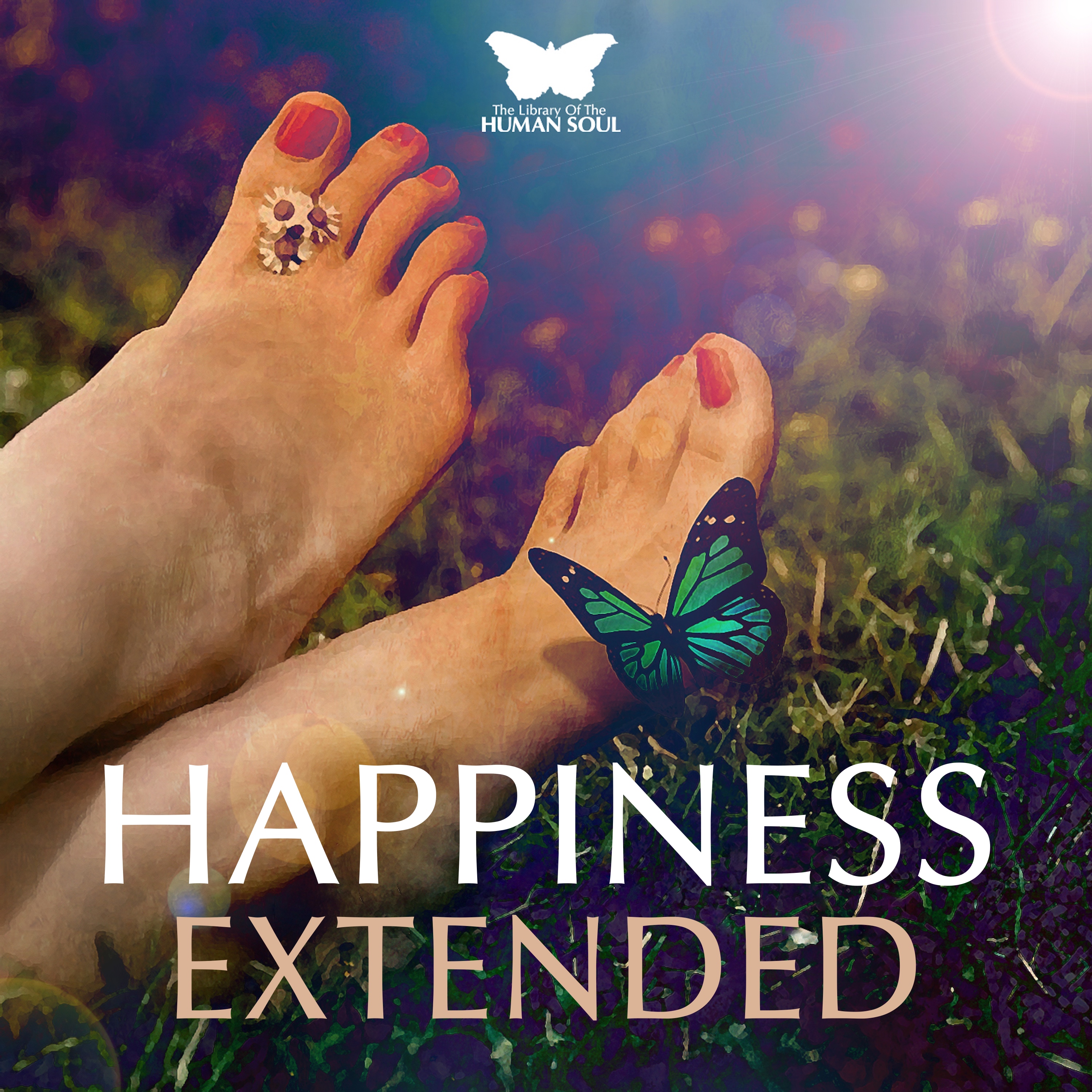 Happiness Extended