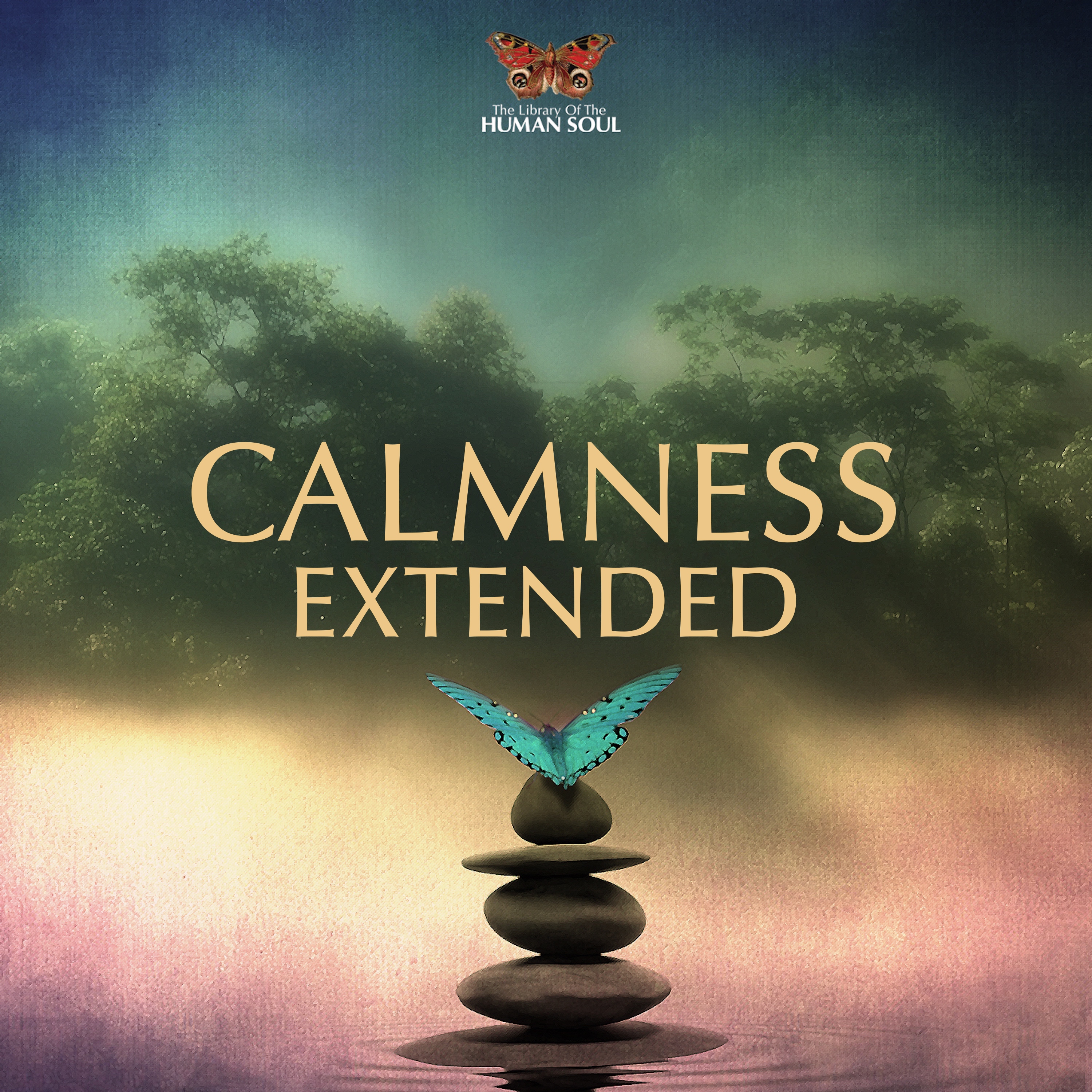 Calmness Extended