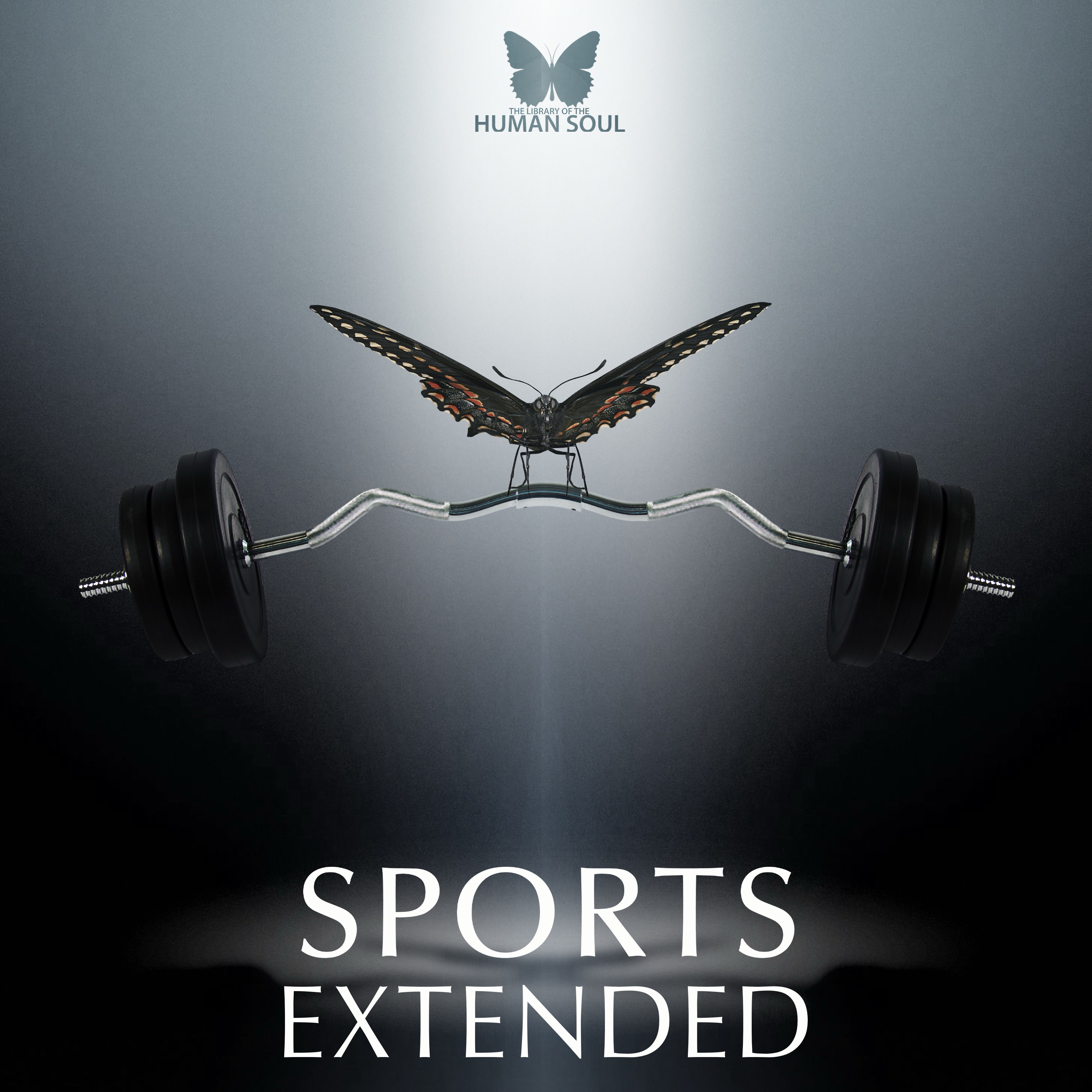 Sports Extended